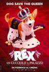 REX - UN CUCCIOLO A PALAZZO REX - UN CUCCIOLO A PALAZZO
